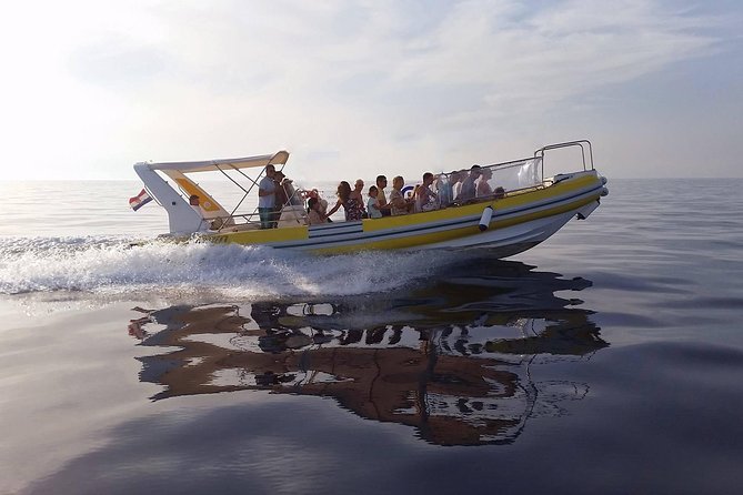 Blue Cave | 5-Hour Afternoon Sea Safari - The 2:30 pm Afternoon Plan: How Timing Helps You