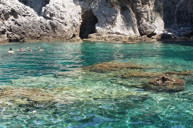 BLUE CAVE&GREEN CAVES /ŠUNJ beach Speedboat tour- WITH DRINKS - Key highlights you should care about