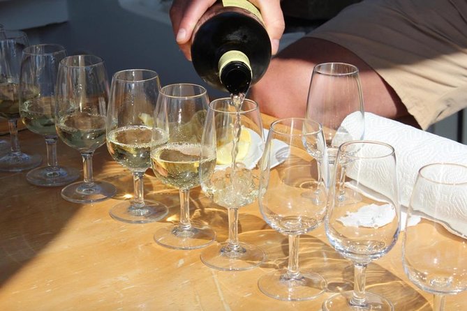 Classic Tour with Wine Tastings from Dubrovnik - Ston’s Walls and Salt Legacy: Worth It, But Plan Your Expectations