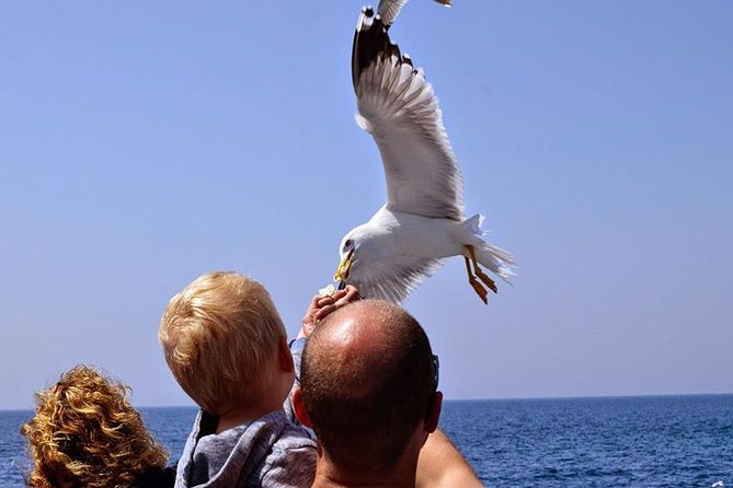 Day Cruise in the Elafiti Islands from Dubrovnik - The covered-boat ride: comfort, sea breeze, and how drinks actually work