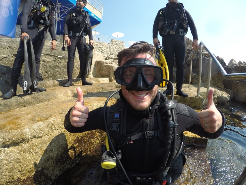 Dubrovnik 2-Hour Uncertified Divers Introductory Dive - Sea life and clear Adriatic water: what you can expect