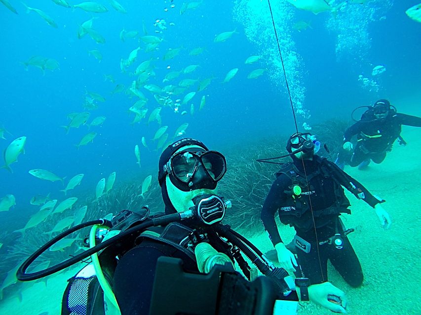 Dubrovnik 2-Hour Uncertified Divers Introductory Dive - Instructors, languages, and tiny-group rhythm