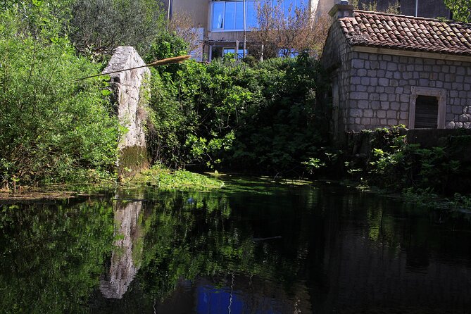 Dubrovnik: Best views Sightseeing Tour - Franjo Tudman Bridge: Where Port Views Become Photos