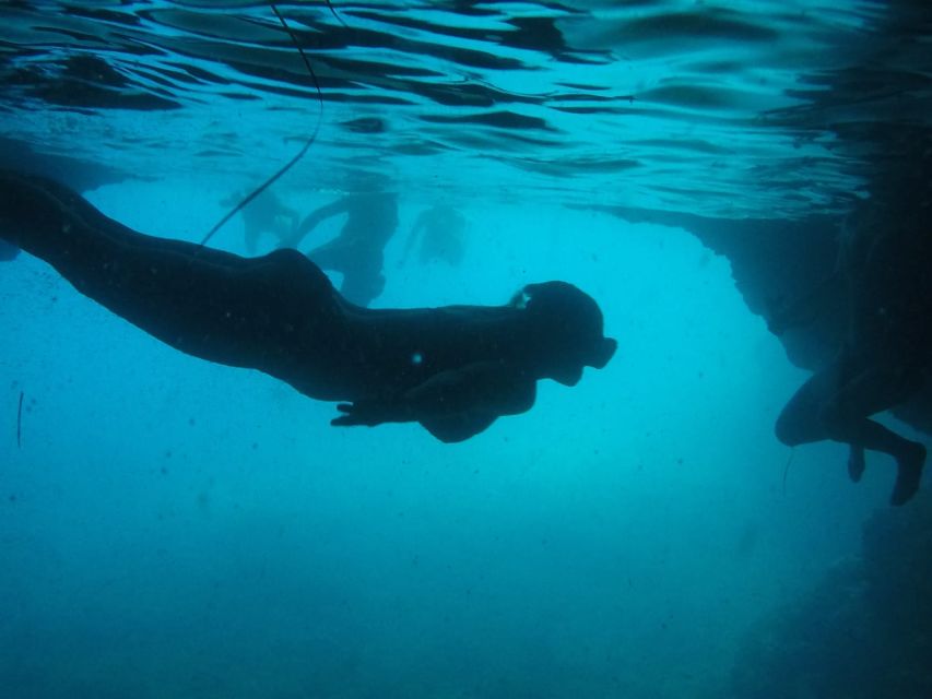 Dubrovnik: Blue Cave & Sunj Beach Boat Tour with Drinks - Quick hits