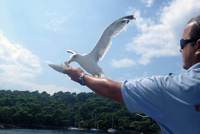 Dubrovnik Elafiti Islands Cruise with Lunch, Drinks and Pickup - Lopud And Šunj Beach: The Island Stop That Makes This Cruise Memorable