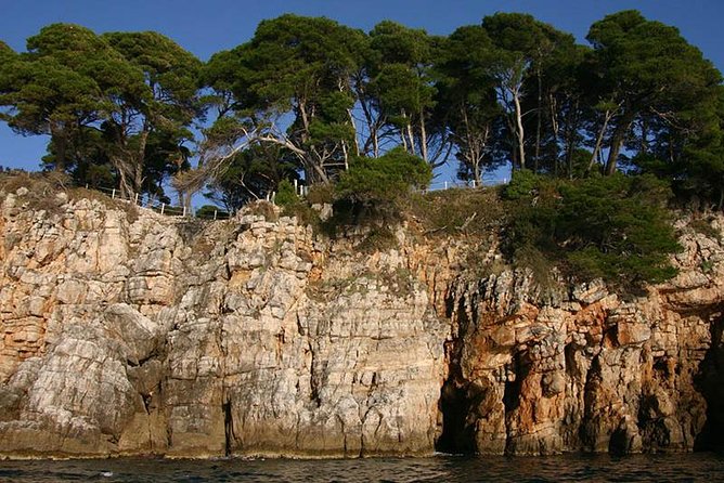 Dubrovnik Elafiti Islands Cruise with Lunch, Drinks and Pickup - The Boat, Group Size, And The Kind of Service You Actually Want