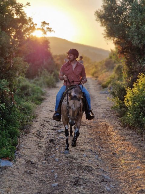 Dubrovnik Kojan Koral: Horseback Riding - Key things that make this ride special