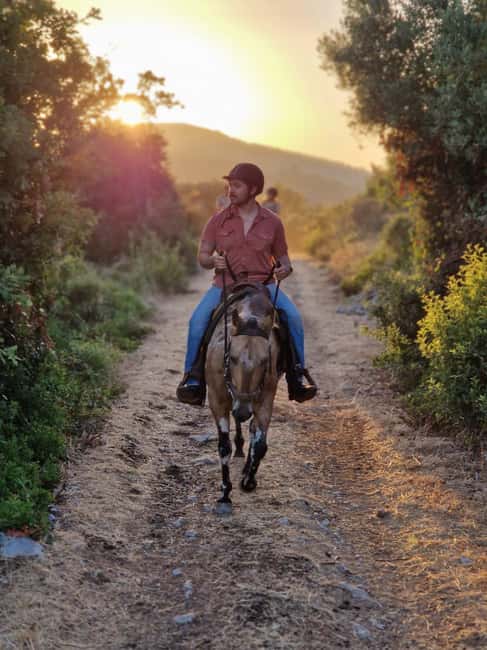 Dubrovnik Kojan Koral: Horseback Riding - Why Konavle on horseback feels like a real break from Dubrovnik