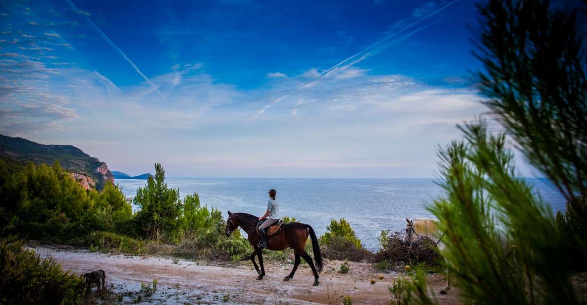 Dubrovnik Kojan Koral: Horseback Riding - The 2-hour ride: forest paths, rocky ground, and a slow pace you can trust