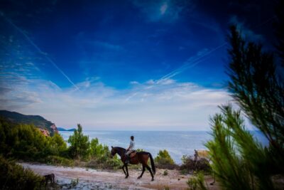 Dubrovnik Kojan Koral: Horseback Riding - Getting picked up, meeting your guide, and learning the basics