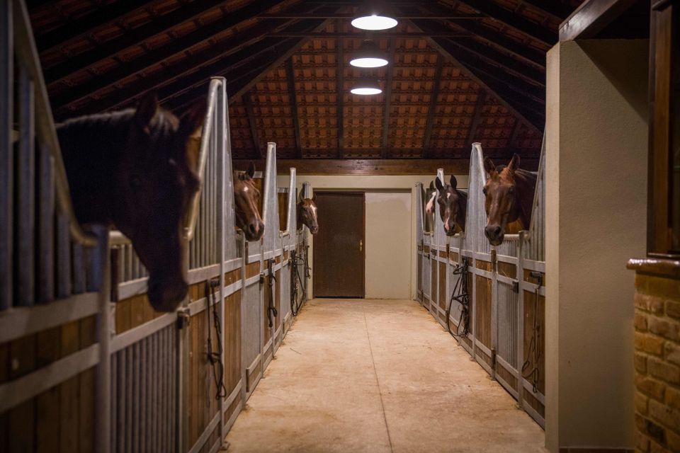 Dubrovnik Kojan Koral: Horseback Riding - Popovići area remains: a rare “something to see” besides scenery
