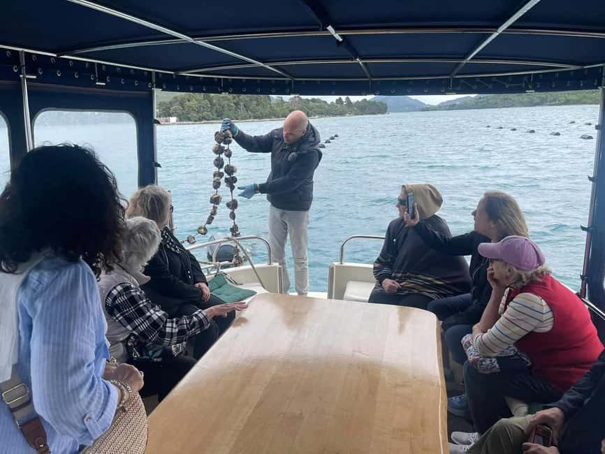 Dubrovnik: Oyster, Mussles, and Wine Tasting Tour in Ston - Should you book it?
