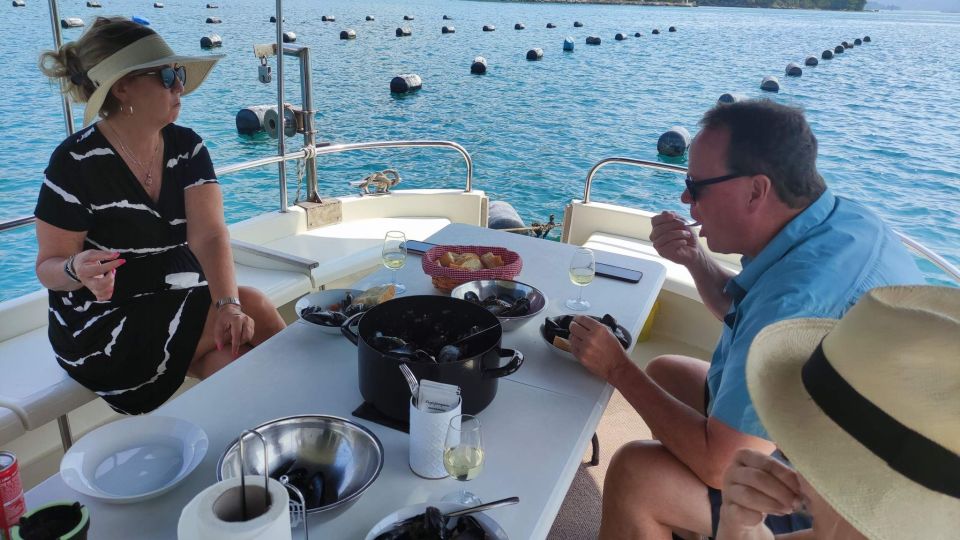 Dubrovnik: Oyster, Mussles, and Wine Tasting Tour in Ston - A half-day that tastes like Dalmatia, not just Dubrovnik