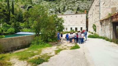 Dubrovnik: Panoramic Ride and Old Town Guided Walking Tour - Getting there smoothly: cruise port, Old Town, or hotel pickup