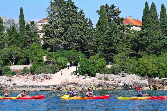 Dubrovnik: Sea Kayaking & Snorkeling Tour - What to wear and bring: water shoes, dry storage, and rinse-off logistics