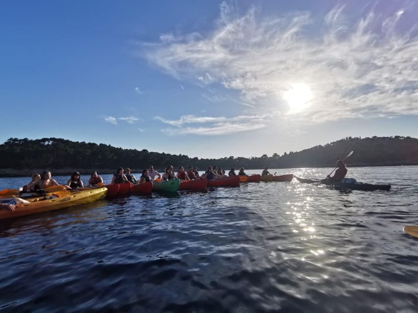 Dubrovnik: Sea Kayaking Tour - How hard is paddling in 2 hours? The real answer: expect arm work