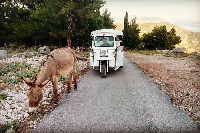 E-Tuk Tuk Tour in Dubrovnik - Electric Tuk-Tuk in Dubrovnik: Why This Works When You’re Short on Time