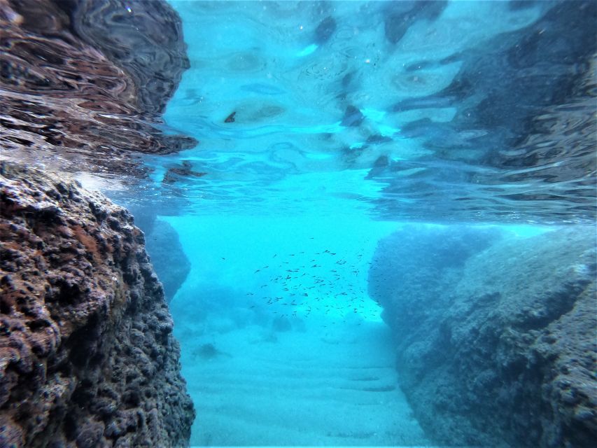 From Dubrovnik: 4-hour Elafiti Islands Private Boat Tour - How your itinerary stays flexible on the water