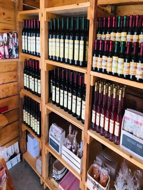 From Dubrovnik: Half-Day Wine Tasting and Cavtat City Tour - Key Things to Know Before You Go