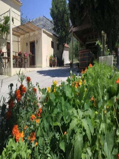 From Dubrovnik: Half-Day Wine Tasting and Cavtat City Tour - Pickup From Dubrovnik: The 4-Hour Pace and How to Plan Your Day