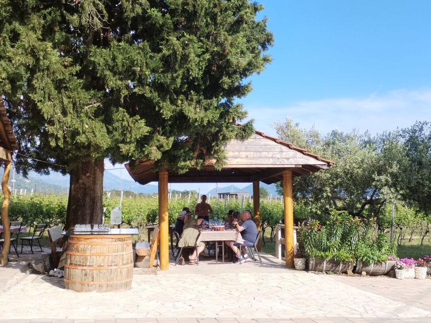 From Dubrovnik: Half-Day Wine Tasting and Cavtat City Tour - Practical Tips to Get the Best Afternoon