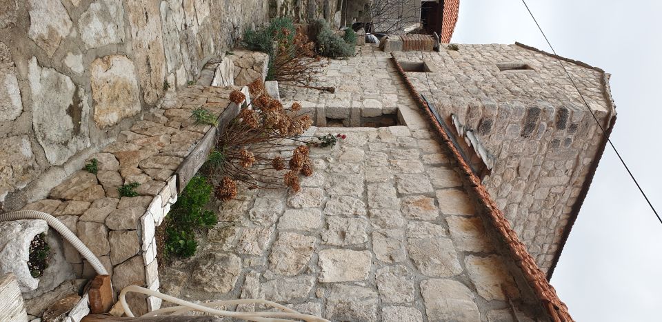 From Dubrovnik: Majkovi Village and Ston Private Food Tour - Should you book? My honest take