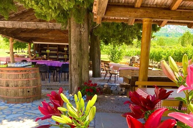 Half-Day Wine and Food Tasting from Dubrovnik - The tasting itself: four wines plus Konavle plata food pairings