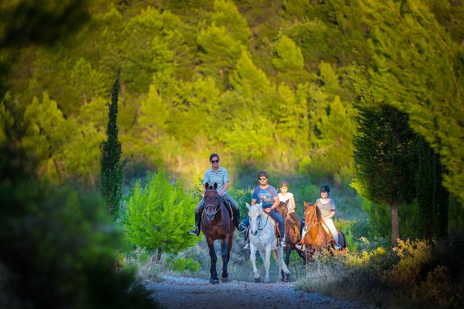 Horseback Riding in Konavle Region with Transport from Dubrovnik - From Dubrovnik Hotel to Kojan Koral: Timing That Actually Works