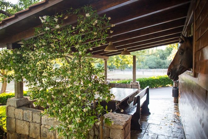 Horseback Riding in Konavle Region with Transport from Dubrovnik - Popovići and the Archaeology Stop: More Than a Pretty View