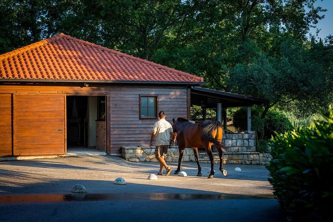 Horseback Riding in Konavle Region with Transport from Dubrovnik - Price and Value: What You Actually Get for $168.95