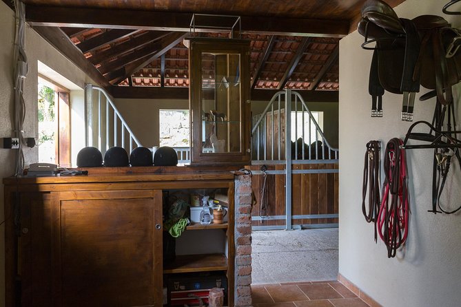 Horseback Riding in Konavle Region with Transport from Dubrovnik - Who This Tour Is Best For (and Who Might Want Something Else)