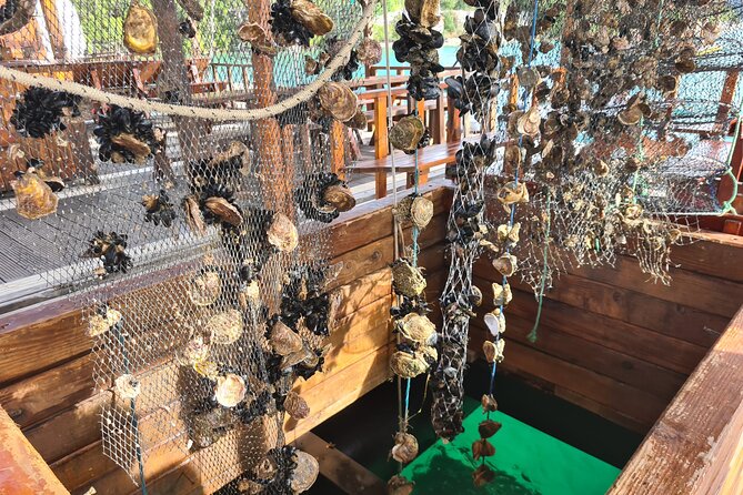 Oysters & Wine Tour From Dubrovnik (Small Group) - Quick hits before you go