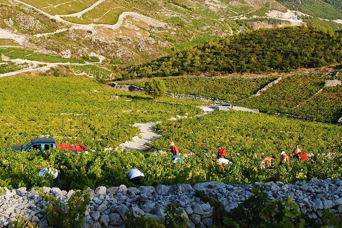 Oysters & Wine Tour From Dubrovnik (Small Group) - Price and value: why $266.70 can make sense here