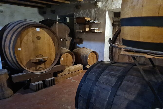 Oysters & Wine Tour From Dubrovnik (Small Group) - Who should book this oyster and wine day from Dubrovnik?