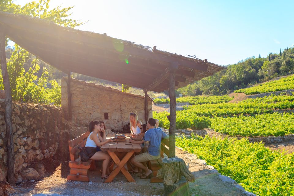 Pelješac Full-Day Wine and Food Tour from Dubrovnik - Oysters on the water: why this tasting feels different