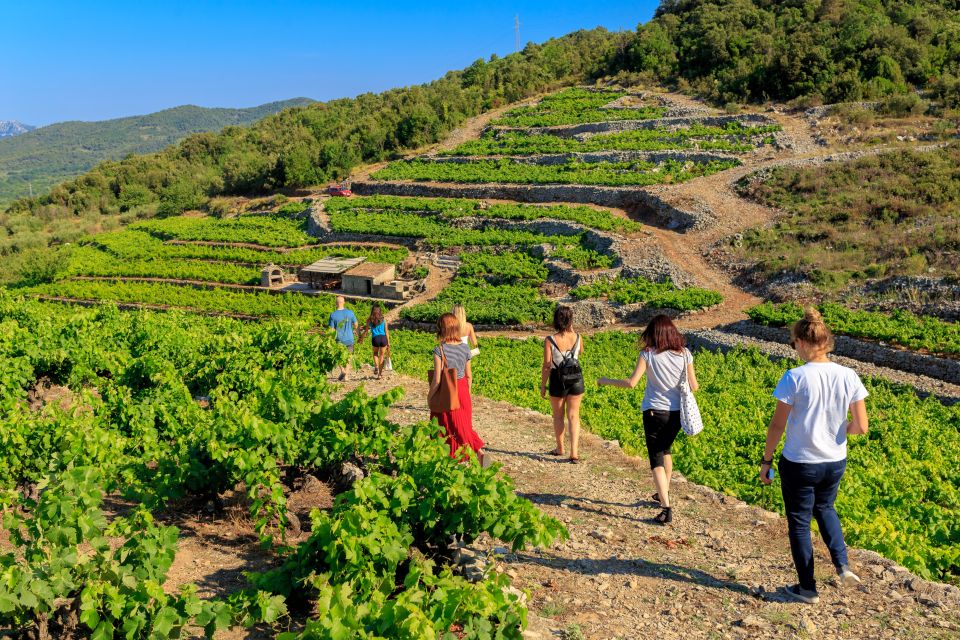 Pelješac Full-Day Wine and Food Tour from Dubrovnik - Price and logistics: is $259 worth it?