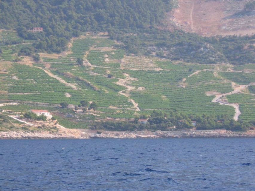 Peljesac Peninsula & Korcula Island Day-Trip from Dubrovnik - Potomje winery tasting: the finish that turns the tour into a real experience