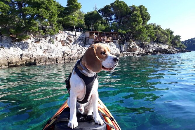 'Pomalo' Guided Sea Kayaking Tour in Cavtat - Cavtat by Kayak: The Pomalo Tour at a Glance