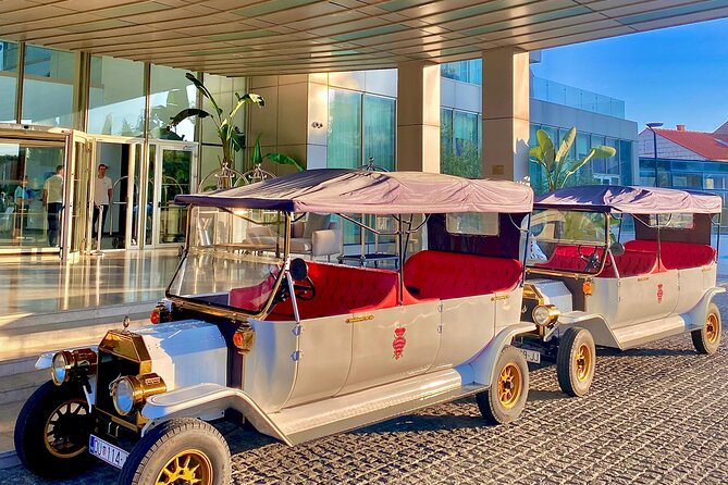 Private Sightseeing Tour in Dubrovnik with a Classic Old Car - Key things I’d plan around