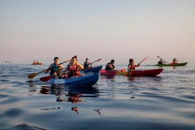 Sunset Sea Kayaking and Wine Dubrovnik - Swimming, Snorkeling, and That Cave Stop You’ll Remember