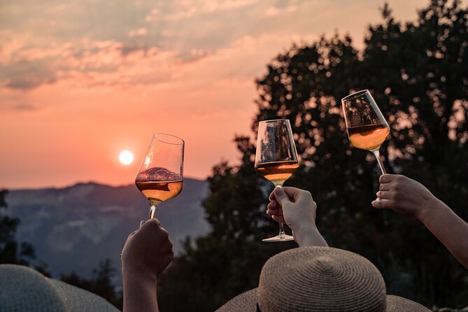 Sunset wine tasting in vineyard - Key highlights worth planning for