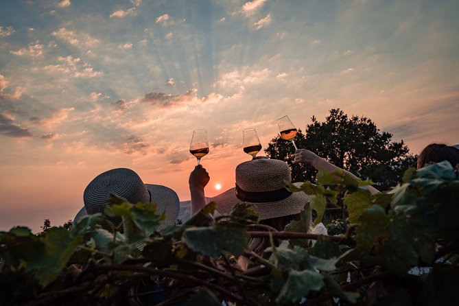 Sunset wine tasting in vineyard - The sunset view over Župa Dubrovačka and the Adriatic