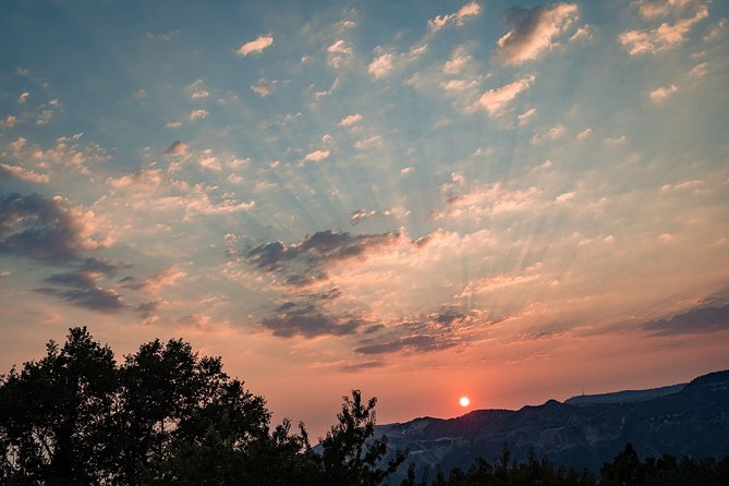 Sunset wine tasting in vineyard - How the hosts make the evening feel personal