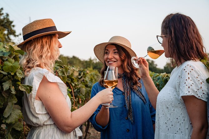 Sunset wine tasting in vineyard - The tastings: olive oil, bread, and the family spread
