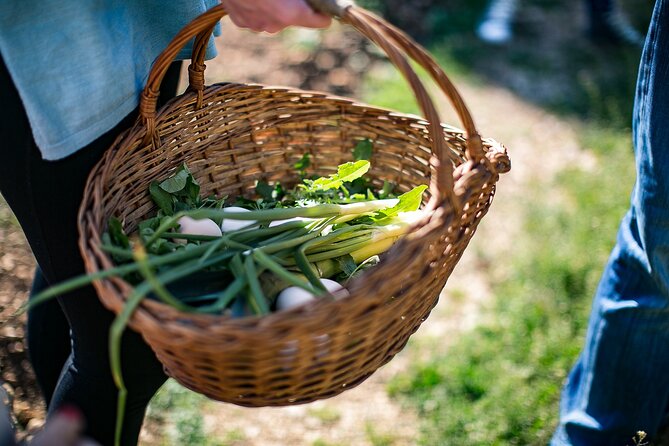 Traditional Cooking Class in Dubrovnik Countryside - How the cooking class flows in real life