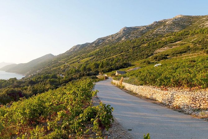 Wine Lover's Tour of Peljesac Peninsula - How the timing works: pickup, Ston, and the three-winery flow