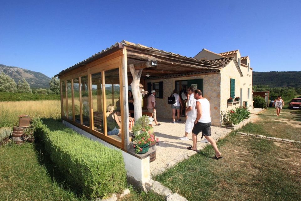 Wine tasting on Peninsula Pelješac wine tour from Dubrovnik - Pelješac Drive: Coastal Views and Photo Stops You Can Actually Use