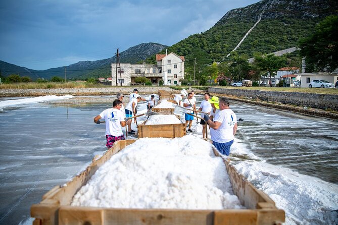 Wine tour peninsula Pelješac - Walls of Ston: the ticket is extra, but the payoff is real