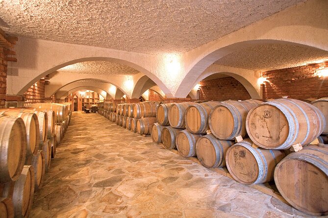 Wine tour peninsula Pelješac - Ston Salt Works: why the shortest stop often surprises you