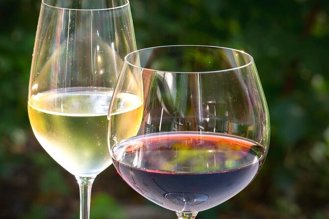 Wine tour peninsula Pelješac - Price and value for a group of up to 3 people